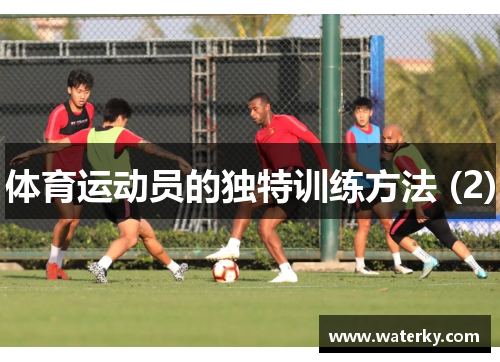 体育运动员的独特训练方法 (2)