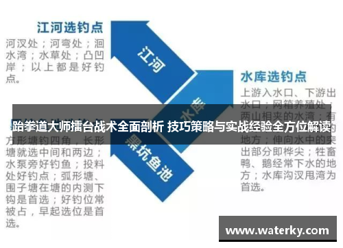 跆拳道大师擂台战术全面剖析 技巧策略与实战经验全方位解读